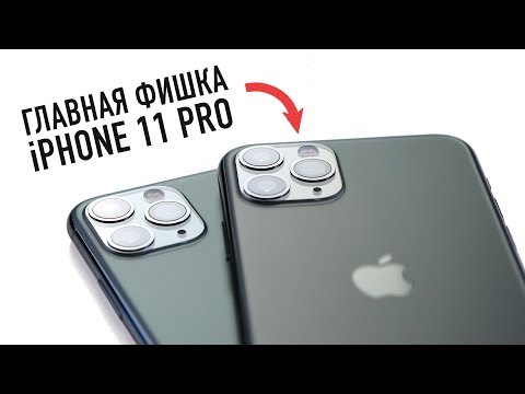 iphone 11 vs iphone xr